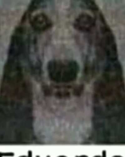 EDUARDO