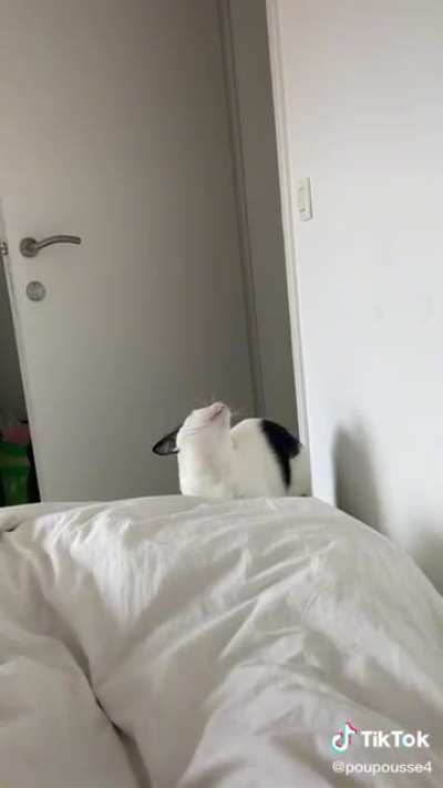 " Get out of Bed AT ONCE! "