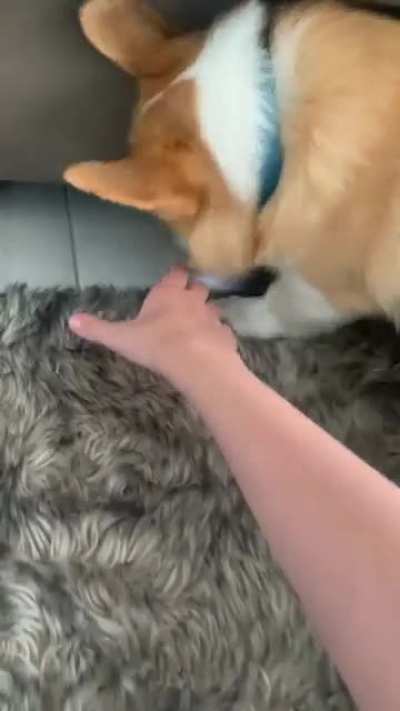 He takes my socks