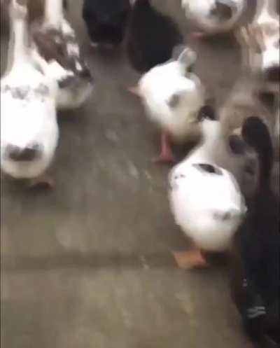 There&rsquo;s always one that stands out in the crowd.