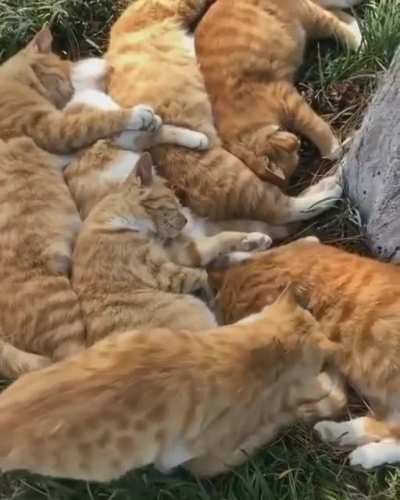 Is this Heaven