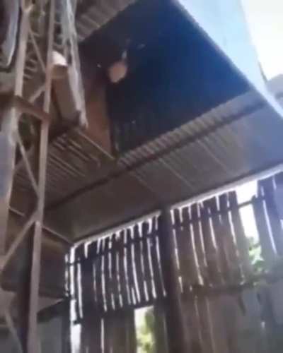 Found Ussop IRL