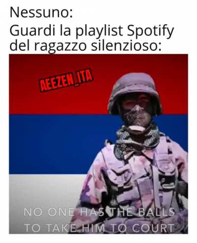 Primo meme video