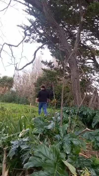 man tackling tree 3 times