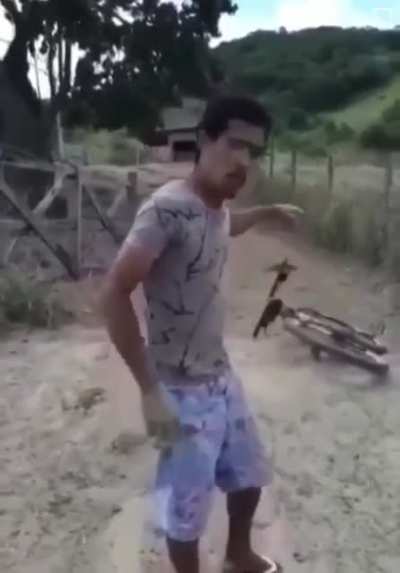 Volta pra ele Elvira