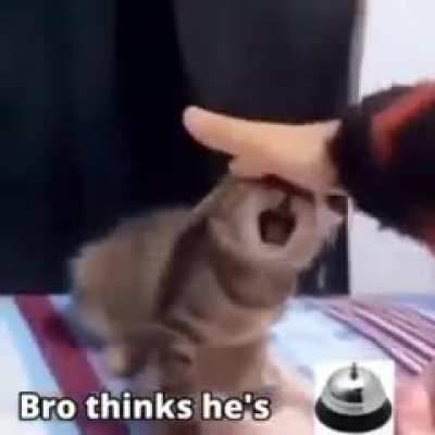 Bro
