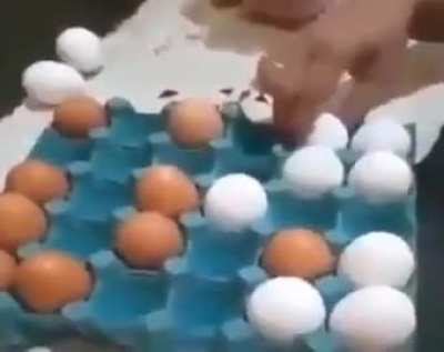 The REAL chess 2