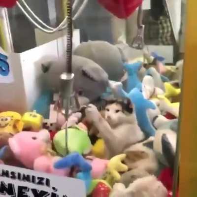 That little gremlin that is definitely hiding in the claw machine pulling down on all the plushies so I can&rsquo;t get them