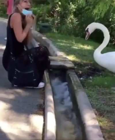 Anti COVID goose. +1 mask -57% COVID and one goose