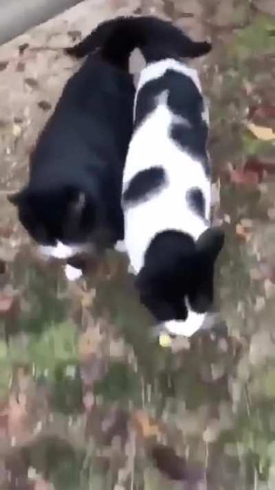 Besties