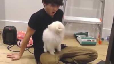 It&rsquo;s like temmie chose Michael to be Lily&rsquo;s boyfriend