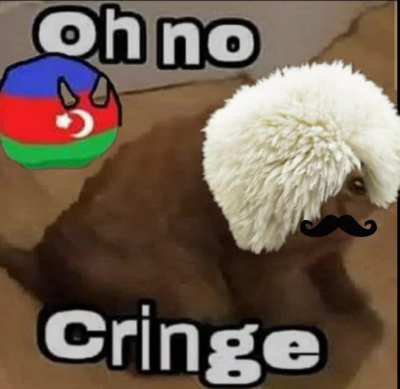 Ayble Cringe