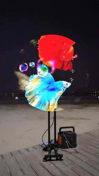 Spinning lights create detailed moving picture