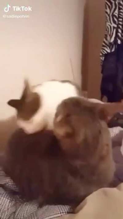 Tasty pussy