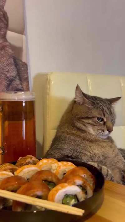 The cat is having a great time😁😁😁