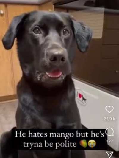 WAIT FOR IT....