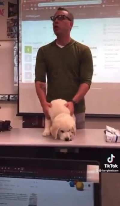 If we lose the vocab bowl&hellip;