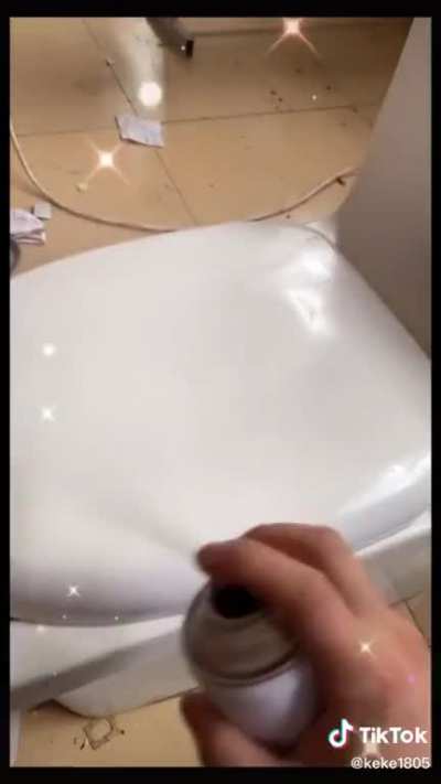 Toilet Repair