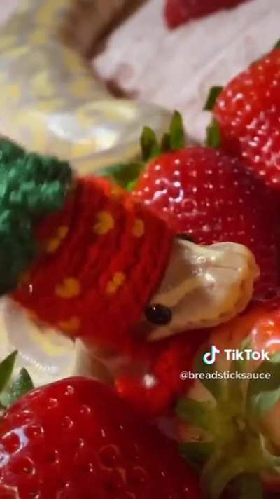 via tiktok user @breadsticksauce &acirc;&curren;&iuml;&cedil;&eth;