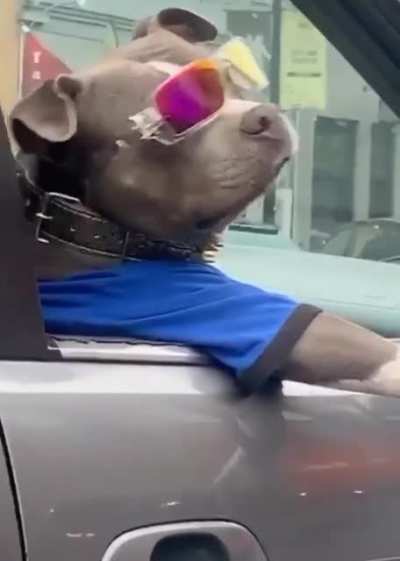 ay boii