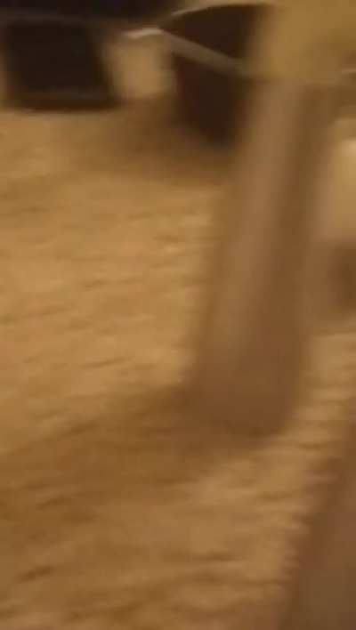 AAAAA