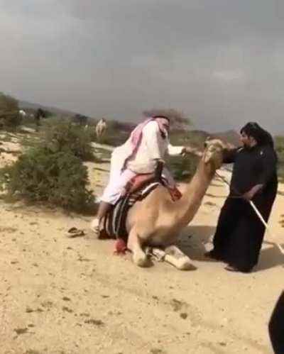 Takin a camel ride