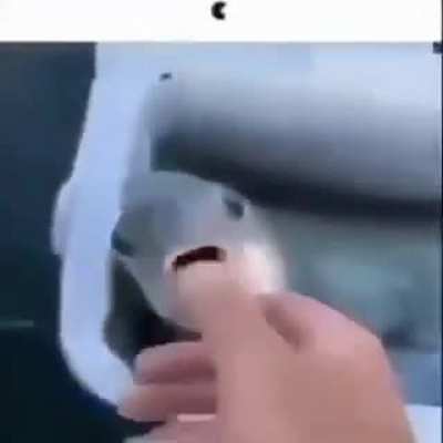 Blursed lover