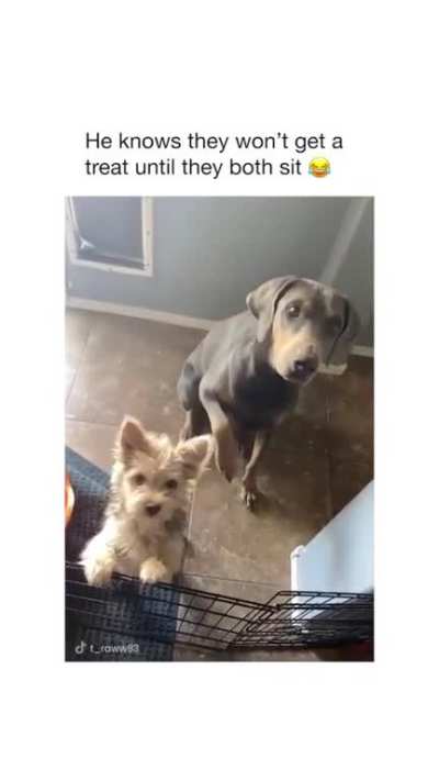 Come on man! You know the drill