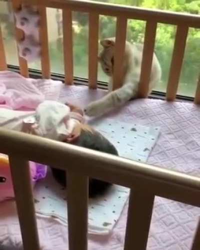 Get over here!