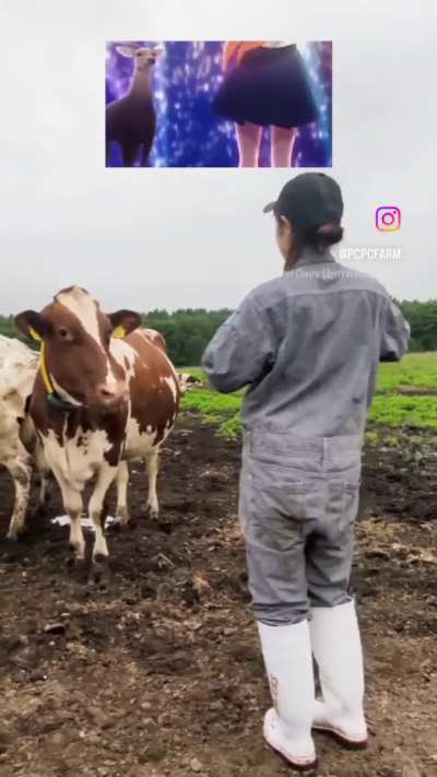 &iquest;Para esto es que quieres ir al Jap&oacute;n rural?? 