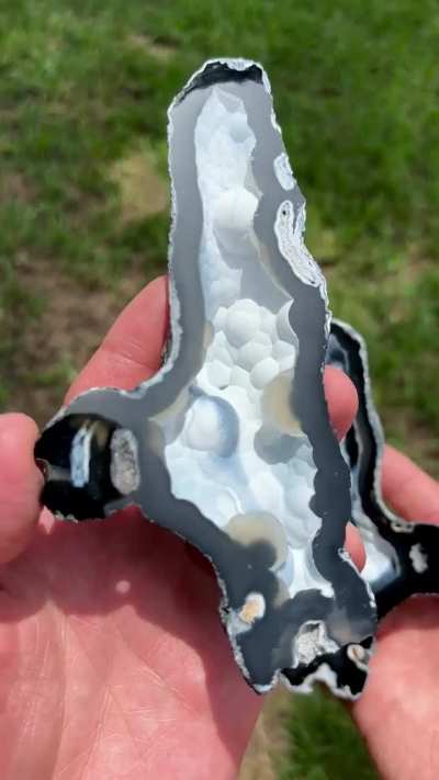 My newest find&mdash;Agatized Coral Finger