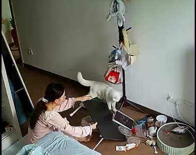 There goes my lunch..