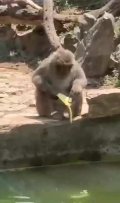 :(