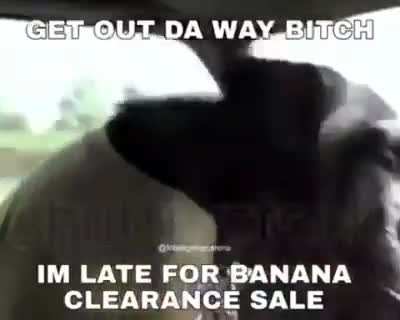 🤬🤬🤬