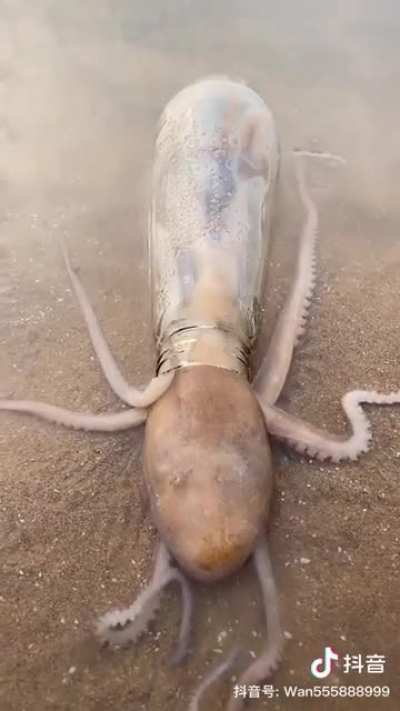 So slimy