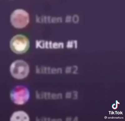 󠀀󠀀 󠀀