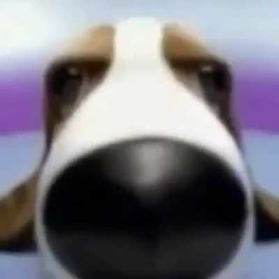 Me when see girl for the first time in my life