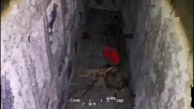 [NSFW-GRUESOME]Chinese decomposing infant pool video 1 and 2 婴儿尸池 the infamous &ldquo;February&rdquo; video. &ldquo;December&rdquo; organ harvest videos infant pool (11 months later)(4/4) in my post history (DO NOT WATCH WITHOUT DESCRIPTION)