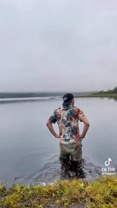 my swamp people need me