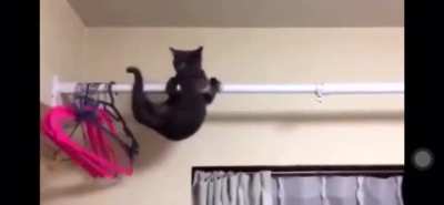 Acrobatic