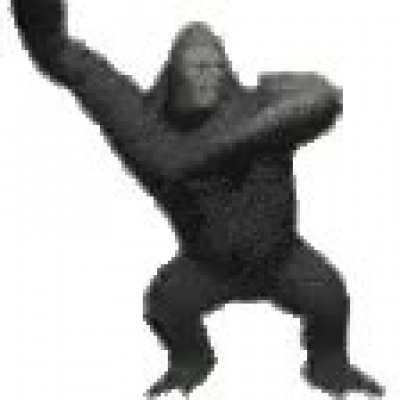 Monke style