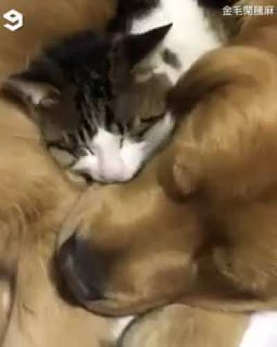 Когды ты другой, но свой.