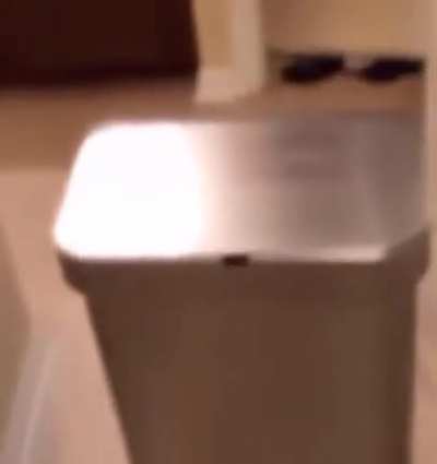 &acirc;Your Mii&acirc;.