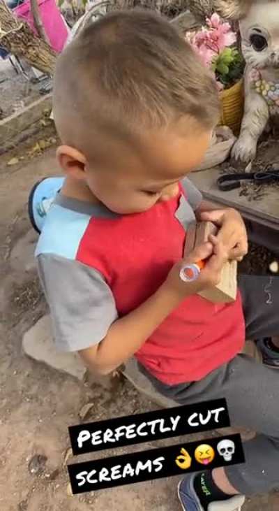I asked my nephew what he was doing - it appears that My niece has her brothers back