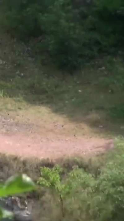 A cute, petite Asian woman hikes the mountains completely naked. Tourists don't bother her. She swims in the river, climbs trees, and walks along trails.