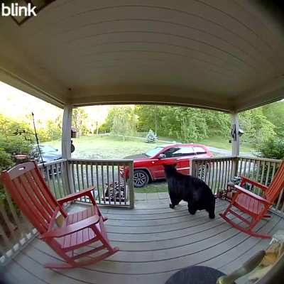 Video doorbell rang this morning - decided not to ask it in.