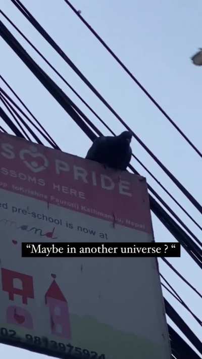 &ldquo;Maybe in another universe?..&rdquo;