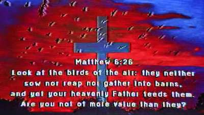 Matthew 6:26