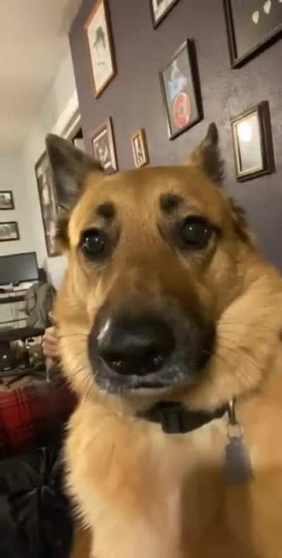 he&rsquo;s like &ldquo;oh what do i do&rdquo;
