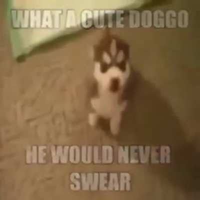 ?????????????